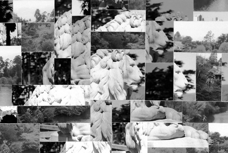 Lion Photo Collage
